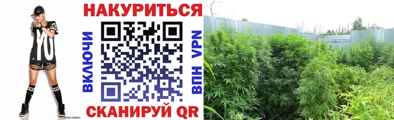 Купить закладку Марихуана  Псилоцибиновые грибы  Мефедрон  Ирбит