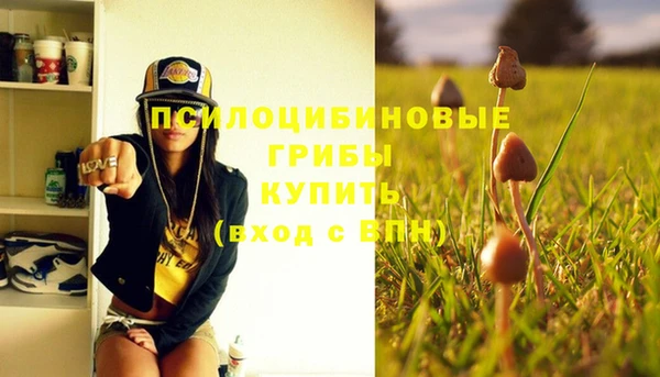 соль курить ск Ельня