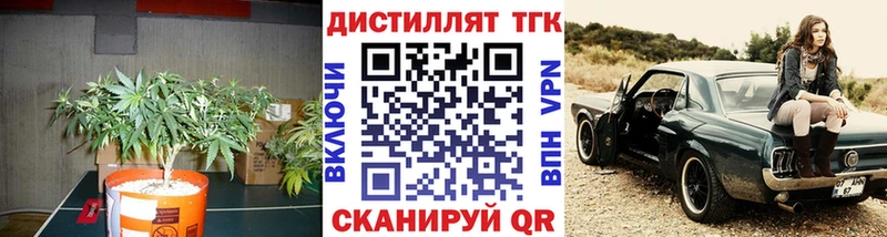 ТГК гашишное масло  Купить закладки  Ирбит 