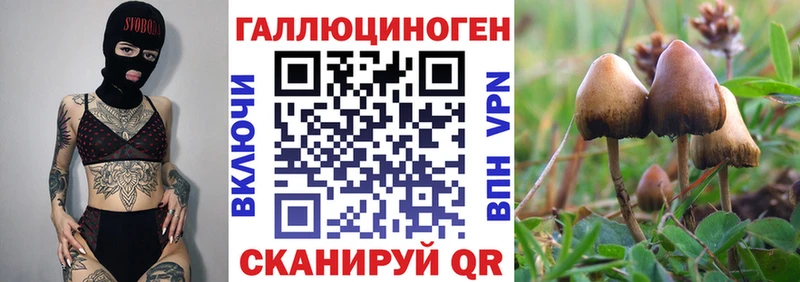 Псилоцибиновые грибы мухоморы  Купить где  Ирбит 