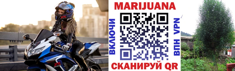 Конопля сатива  Купить где  Ирбит 